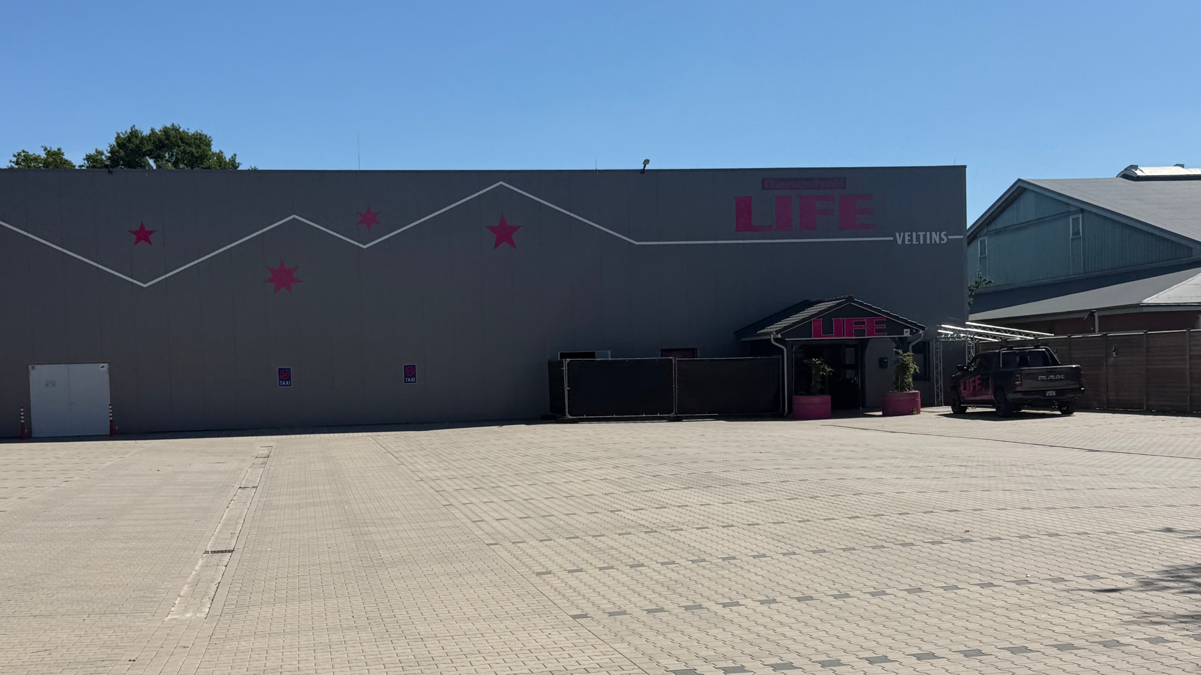 Bienen Wabe – Kinky Party